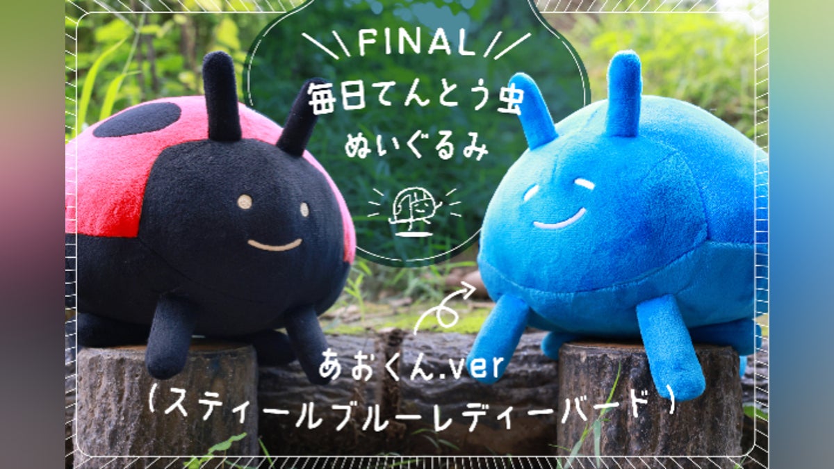 Final】毎日てんとう虫「あおくん」ぬいぐるみプロジェクト - CAMPFIRE Final】毎日てんとう虫「あおくん」ぬいぐるみプロジェクト - CAMPFIRE