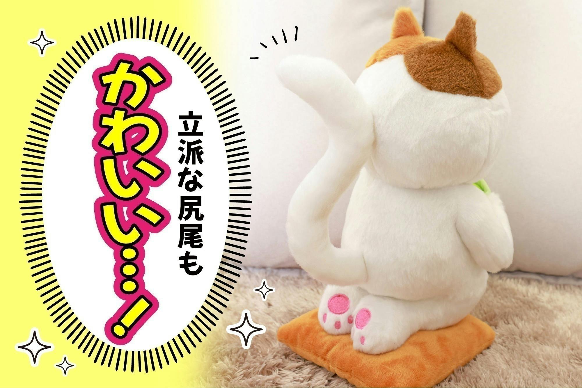 5番目のメイン画像