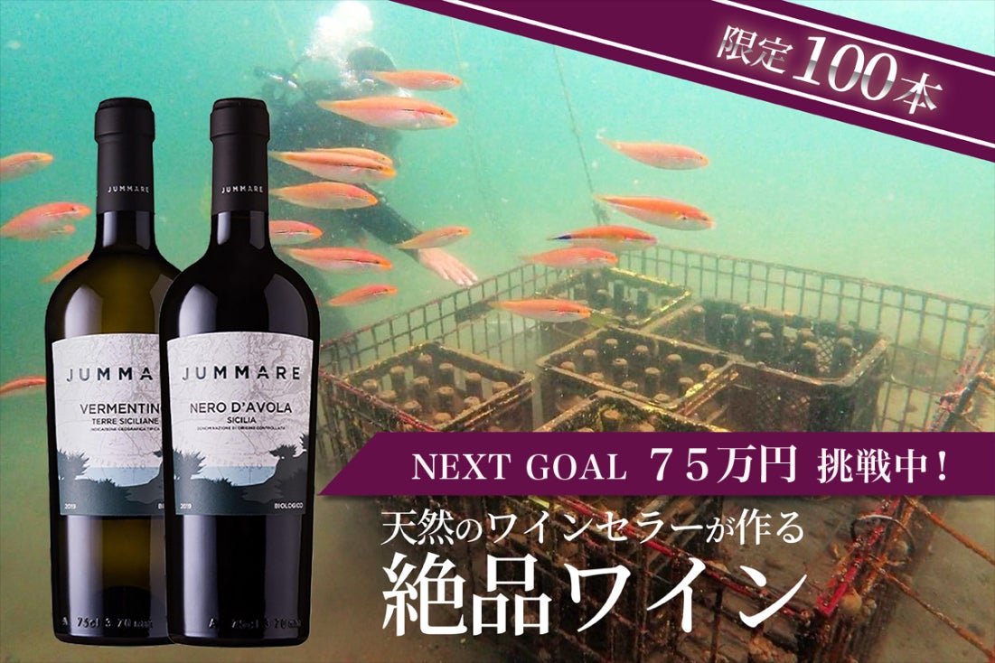 限定100本！海底熟成オーガニックワインを通じて三浦半島を支える環境