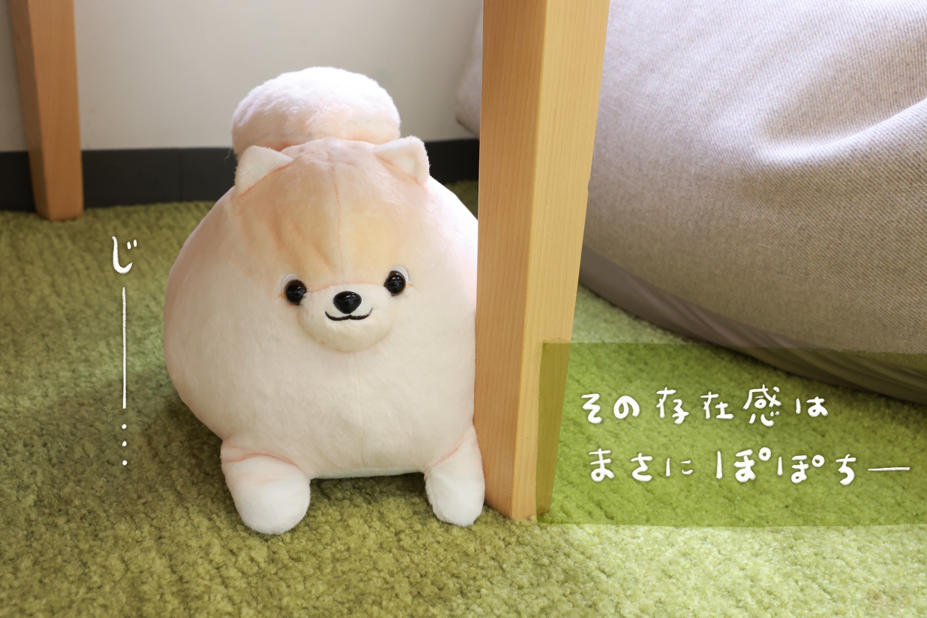 ふわふわポメの「ぽぽち」ぬいぐるみプロジェクト - CAMPFIRE ふわふわポメの「ぽぽち」ぬいぐるみプロジェクト - CAMPFIRE
