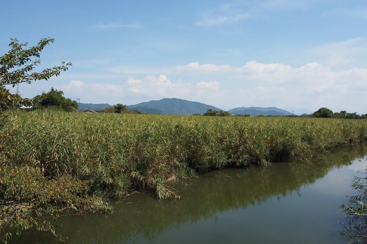 5番目のメイン画像