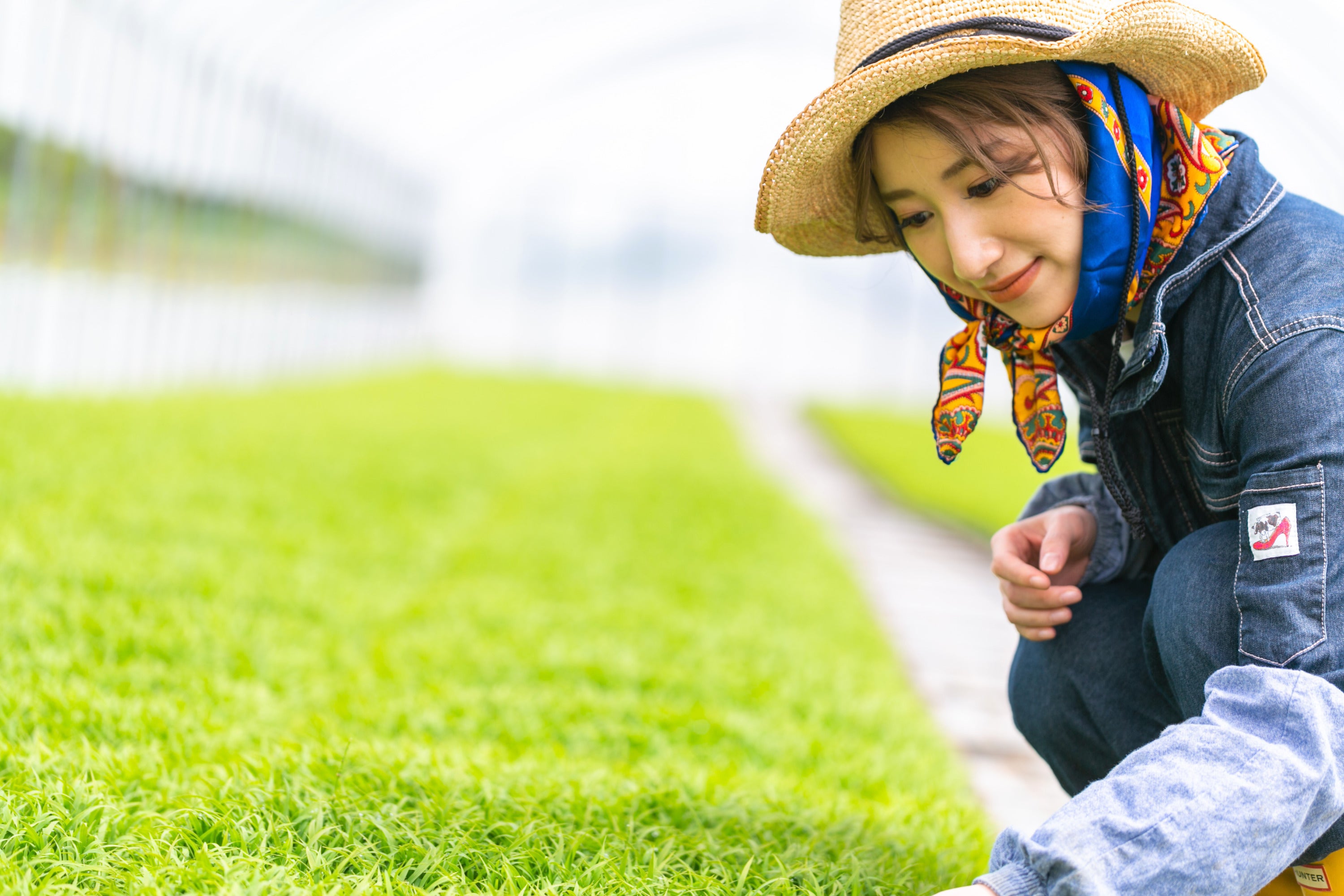 3番目のメイン画像