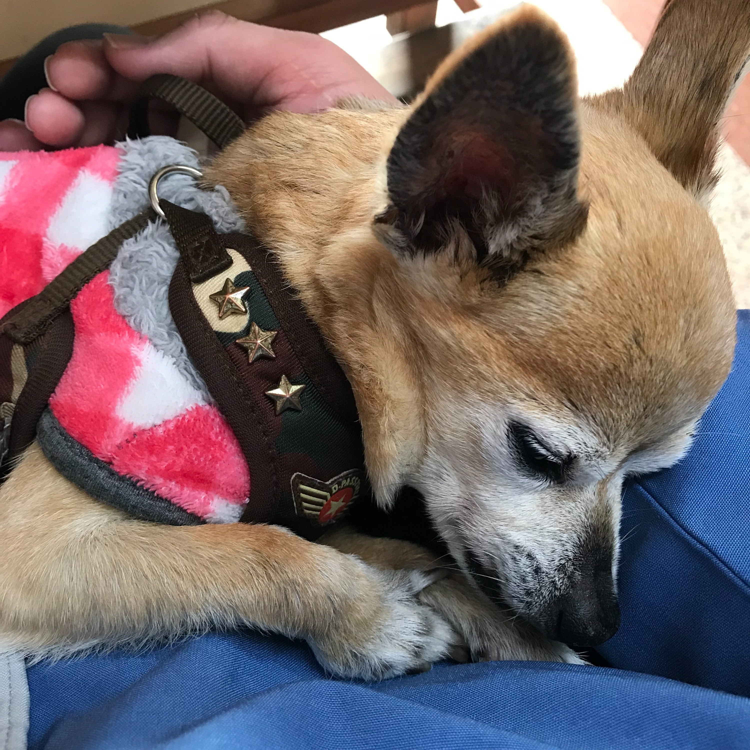 5番目のメイン画像