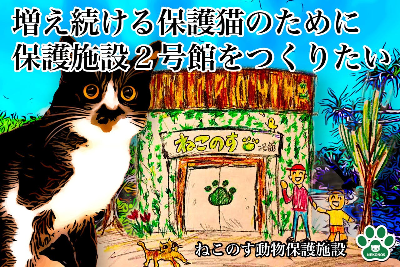 misono イベント 10月23日「misono」さんチャリティーイベント開催!「ねこのす」とのコラボTシャツがイベント内で販売されます! - CAMPFIRE (キャンプファイヤー)