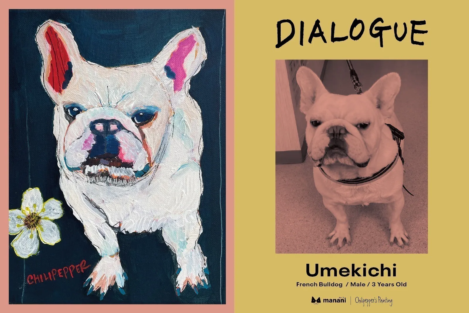 アートが持つ力で保護犬を支援 Dialogue Project Campfire キャンプファイヤー アートが持つ力で保護犬を支援 Dialogue Project Campfire キャンプファイヤー