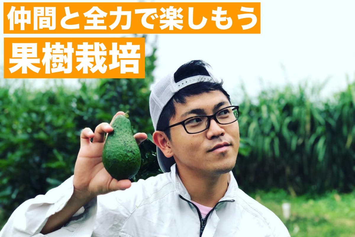 フルーツ・野菜作りを知って食べて楽しもう!【糸満フルーツ園けんちゃん支援の会】