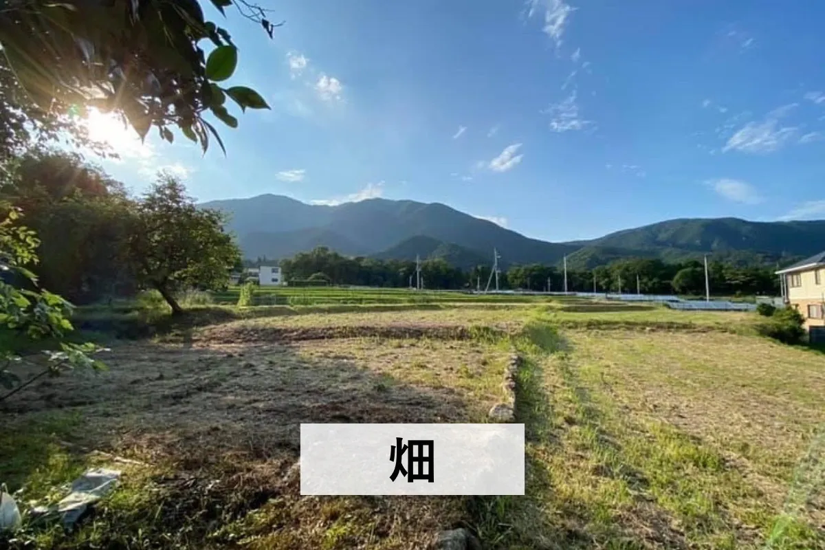 4番目のメイン画像