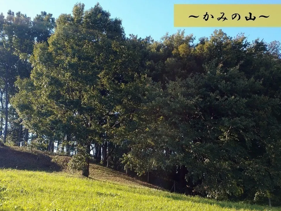 4番目のメイン画像