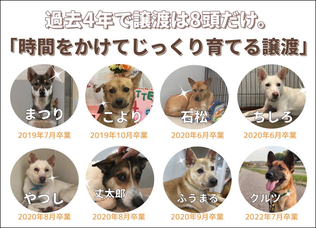 (キャンプファイヤー)　愛犬用「自家製生食パン」をご購入で保護犬活動をご支援ください！　CAMPFIRE