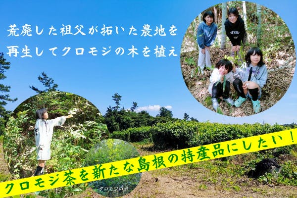 荒廃した祖父が拓いた農地を再生してクロモジの木を植え 新たな島根の特産にしたい Campfire キャンプファイヤー