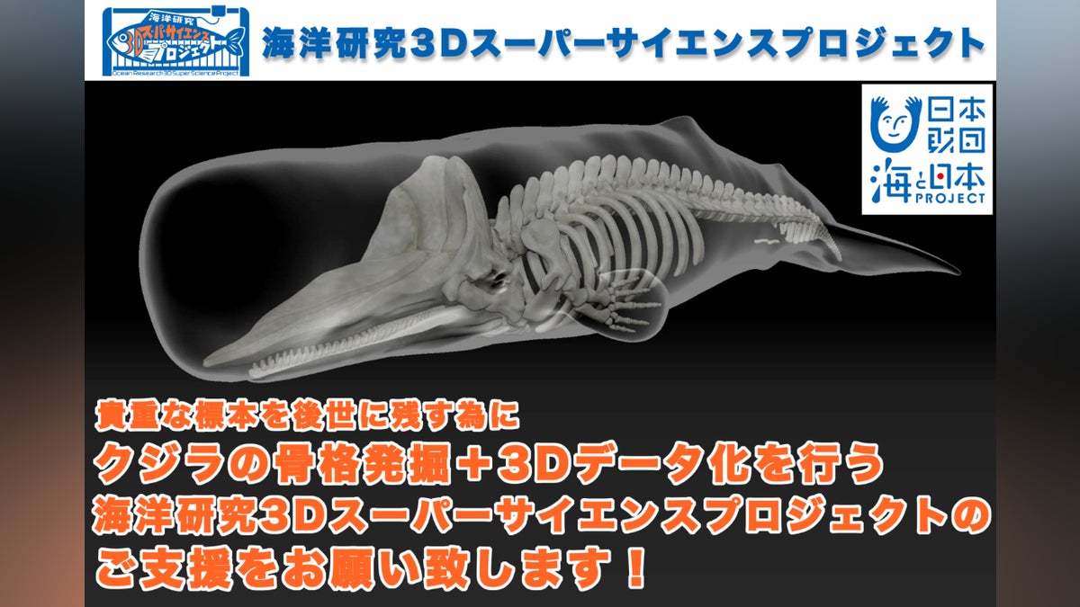 支援者一覧 - 最新の3D技術を使って世界的に希少な“コククジラ”の骨格 支援者一覧 - 最新の3D技術を使って世界的に希少な“コククジラ”の骨格