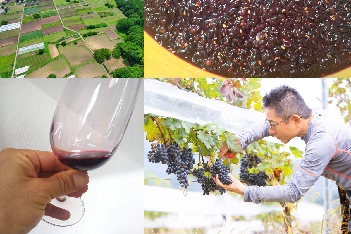 3番目のメイン画像