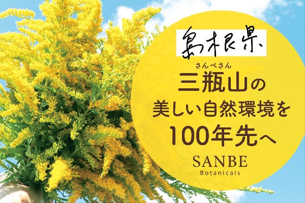 外来種セイタカアワダチソウをアロマオイルにして、地域の悪者を価値に