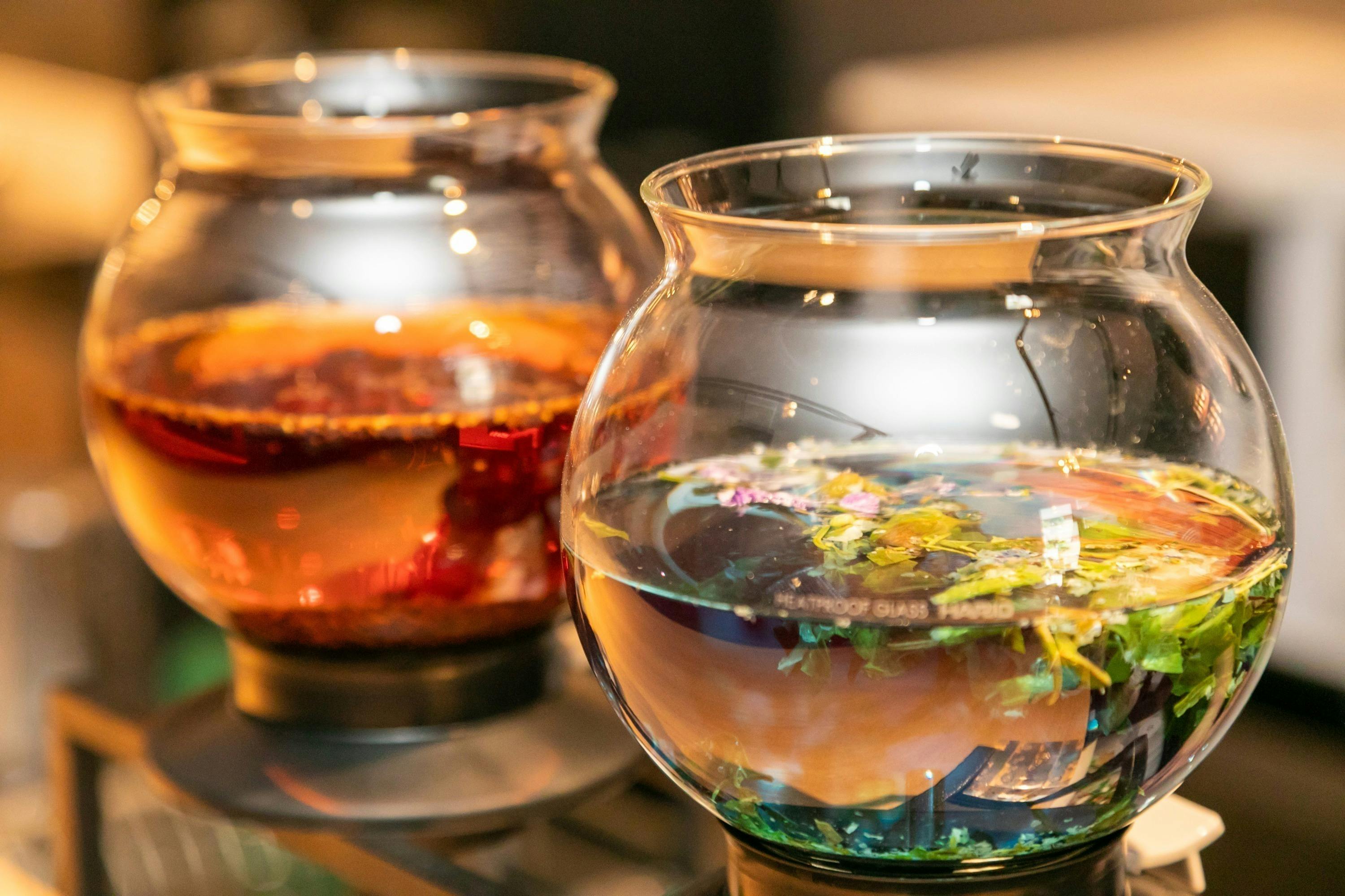 おいしいハーブティーとかわいいモモンガをもっと多くの人に知ってもらいたい Campfire キャンプファイヤー おいしいハーブティーとかわいいモモンガをもっと多くの人に知ってもらいたい Campfire キャンプファイヤー