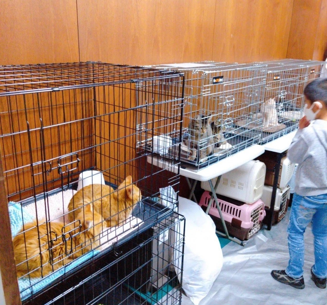 4番目のメイン画像