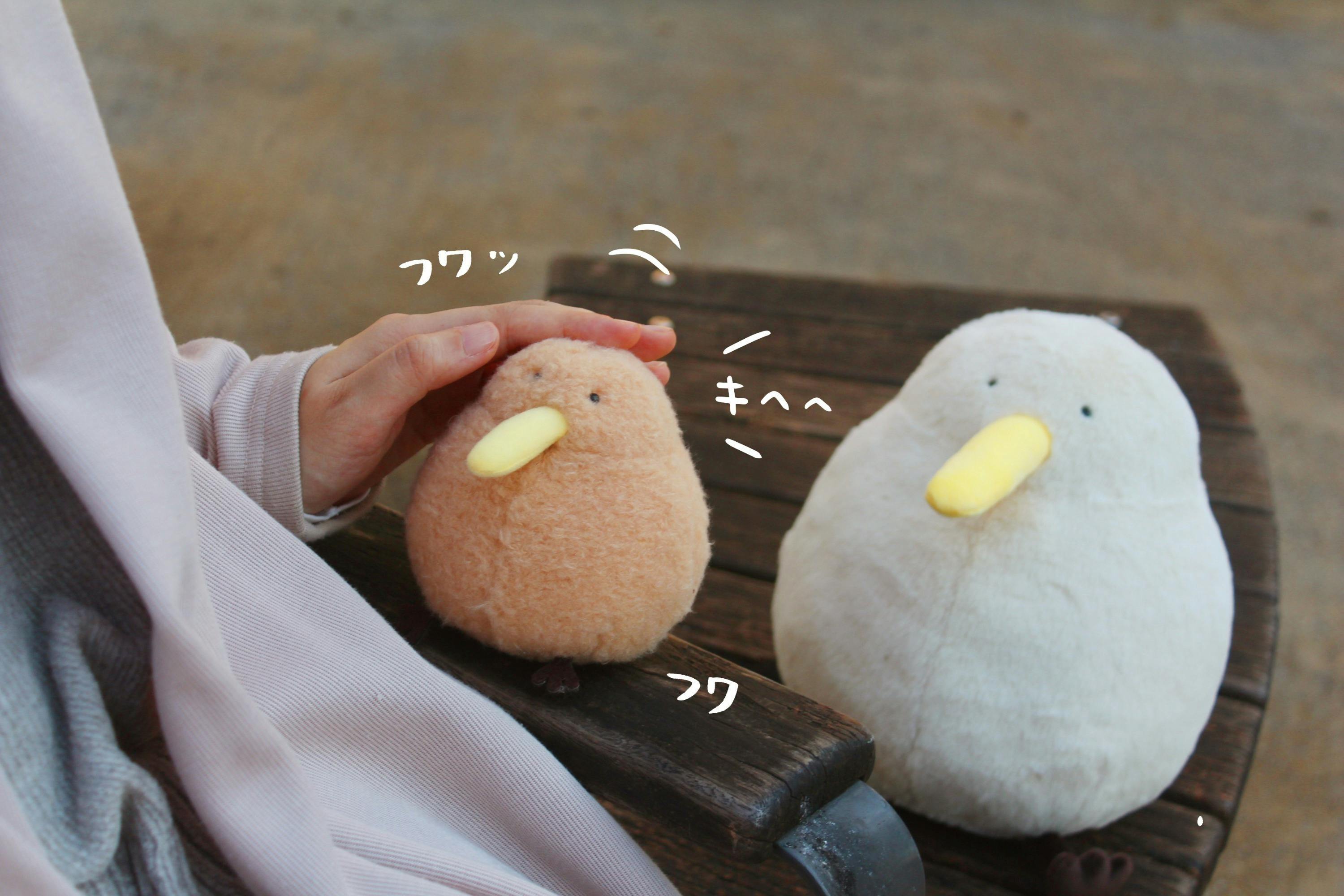 5番目のメイン画像