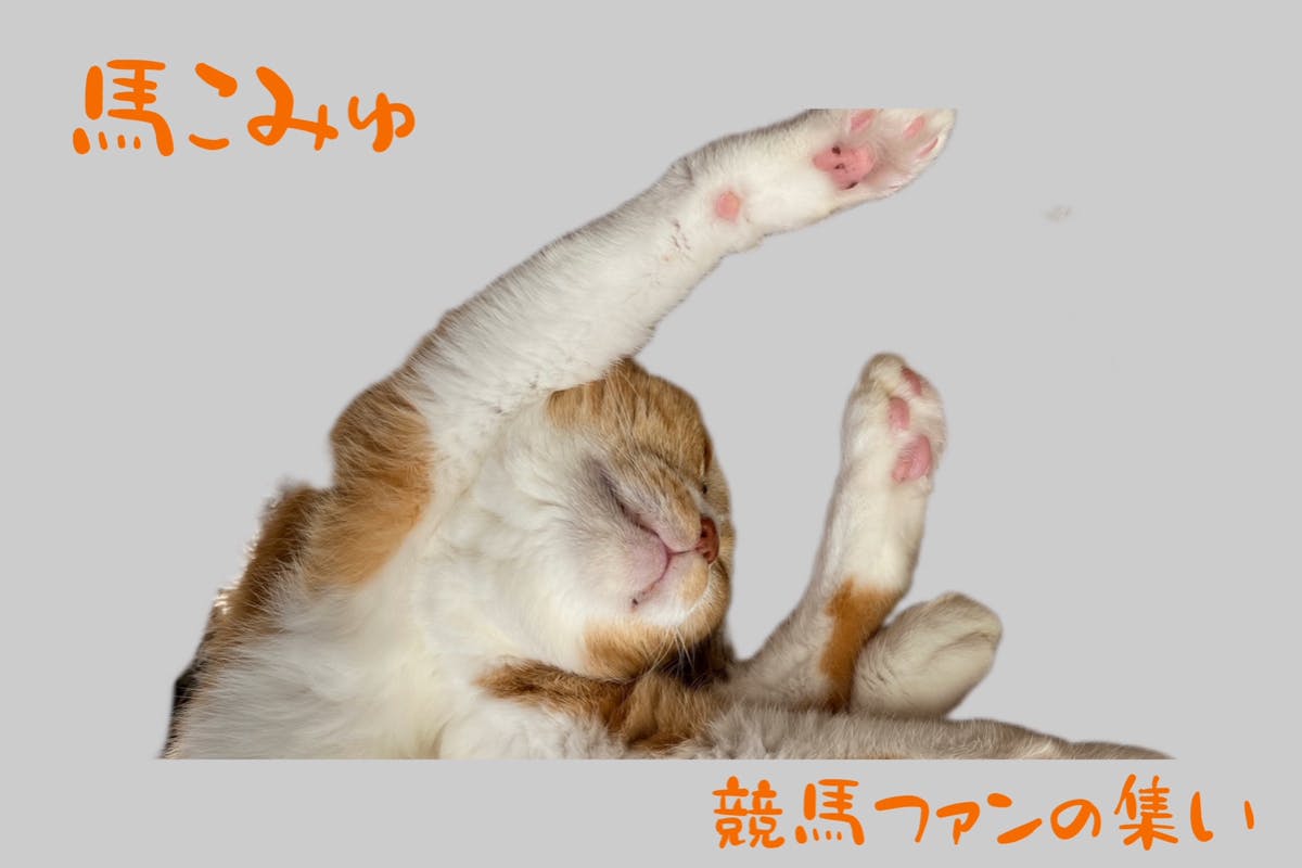 馬こみゅ 月額500円から【独自の相馬眼で推奨馬をリアルタイムで発信】