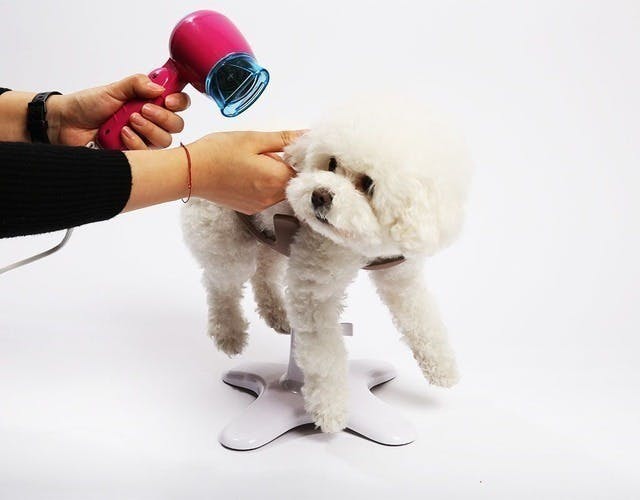 人気沸騰】 犬の美容用チェア 犬の美容用スタンド シャンプー 