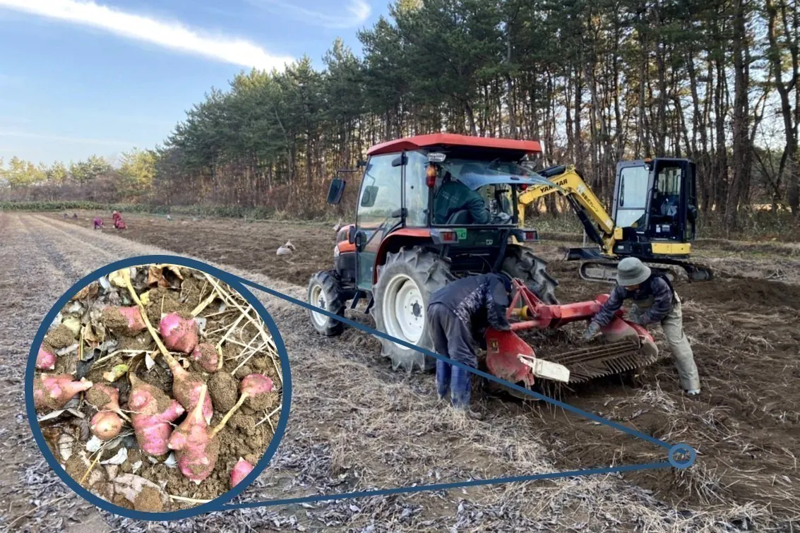 5番目のメイン画像