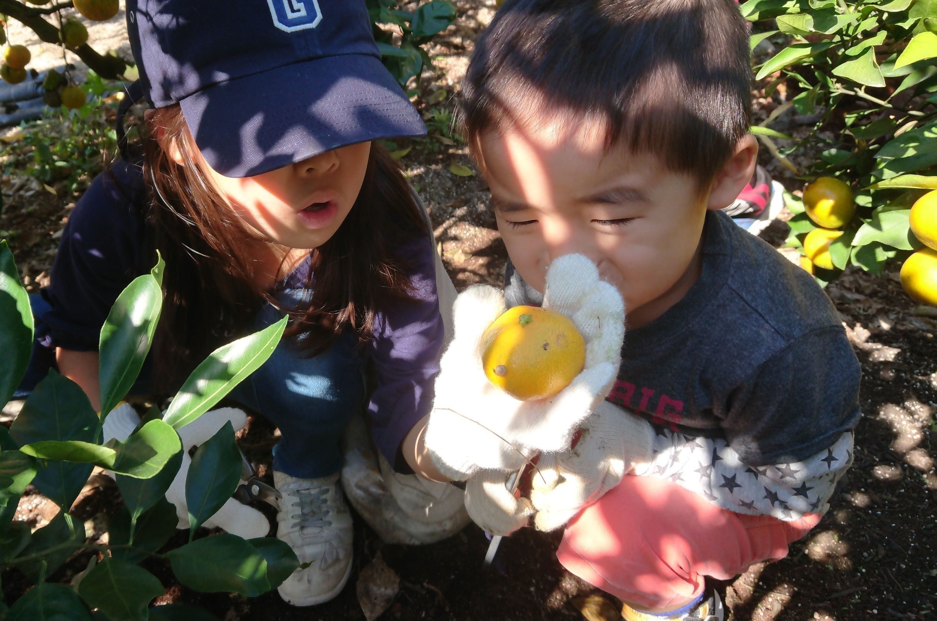 5番目のメイン画像