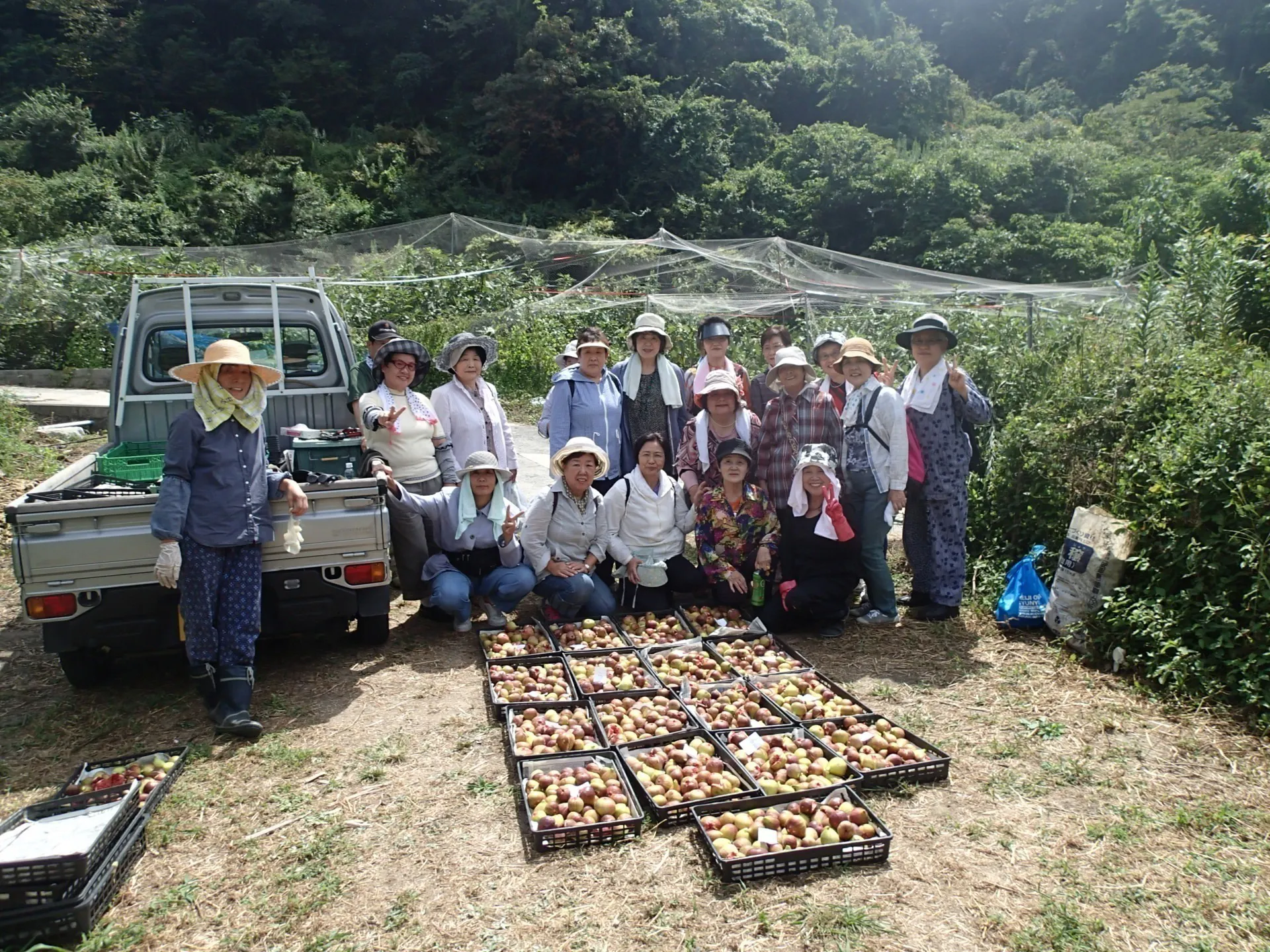 4番目のメイン画像