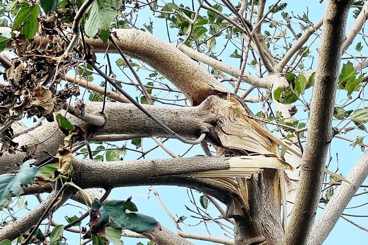 4番目のメイン画像