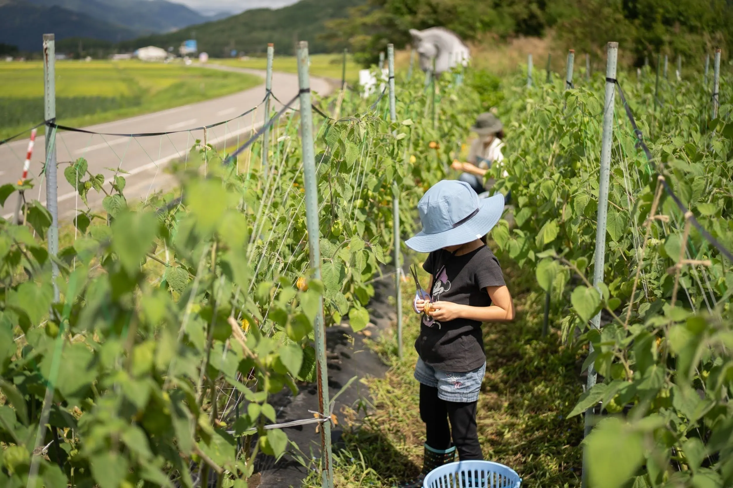 4番目のメイン画像