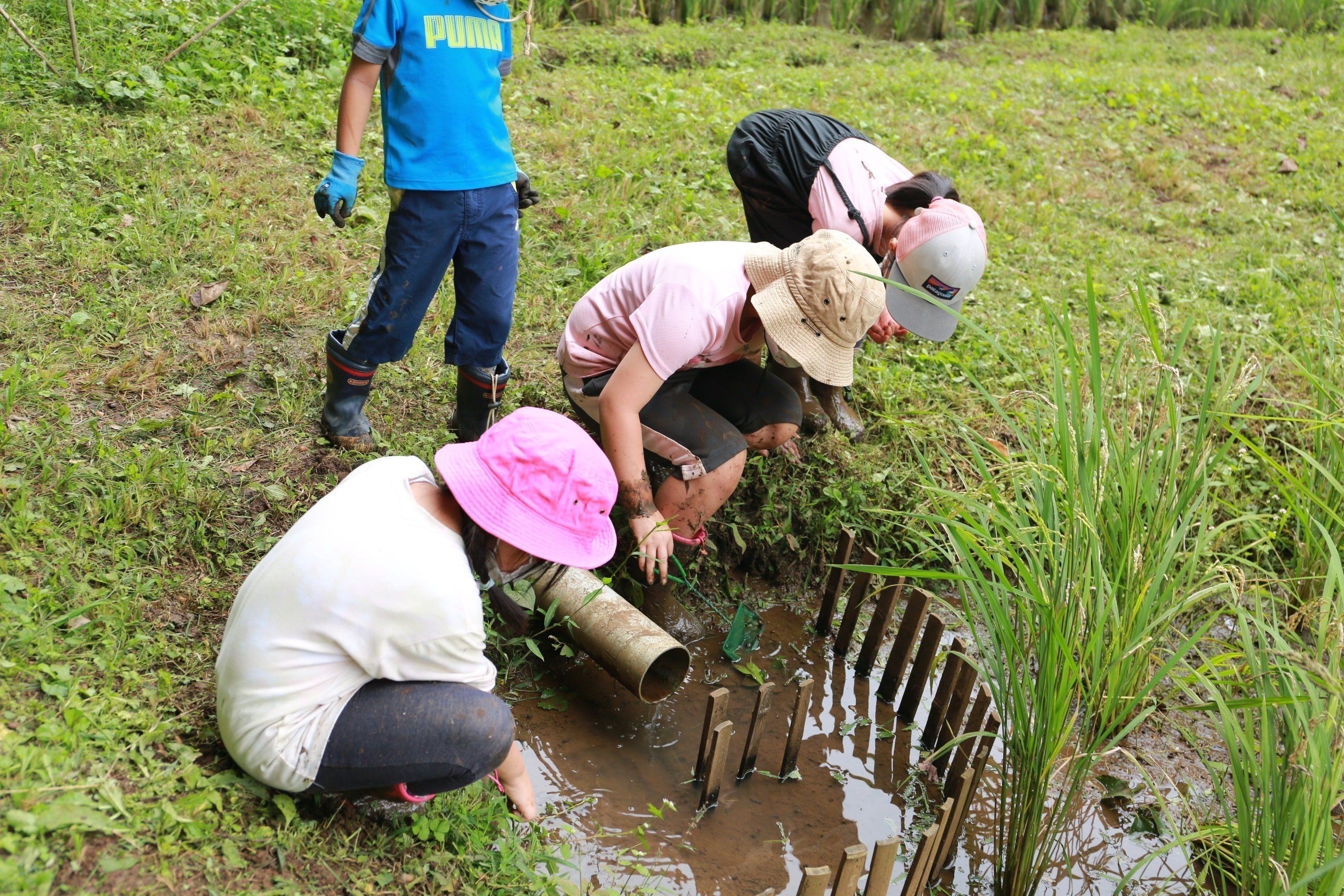 5番目のメイン画像