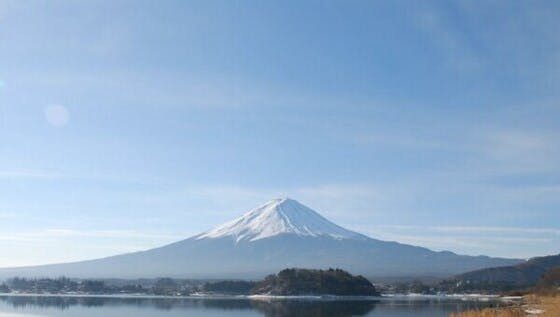 富士山の独自で豊かな自然を次世代へ～外来植物から富士山を守り