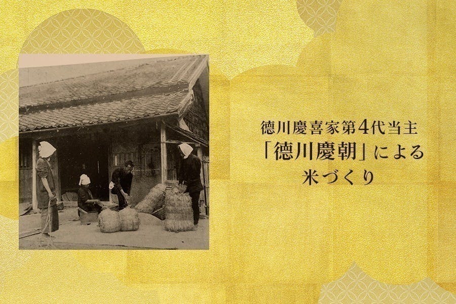 德川慶喜家がお米への思いと歴史を後世に残す#德川米Projectを応援して下さい - CAMPFIRE (キャンプファイヤー)
