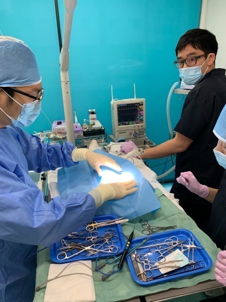 2番目のメイン画像