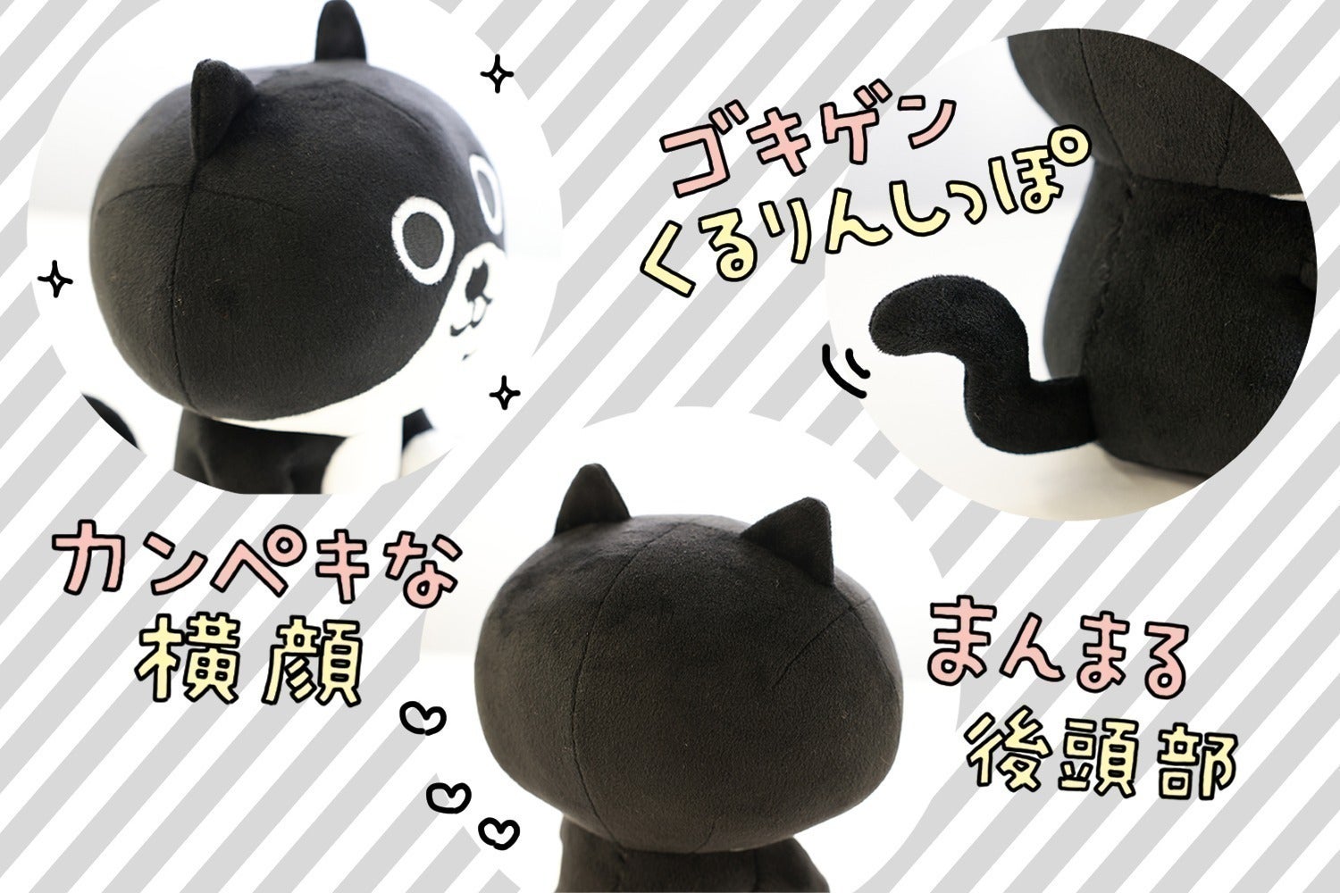 5番目のメイン画像