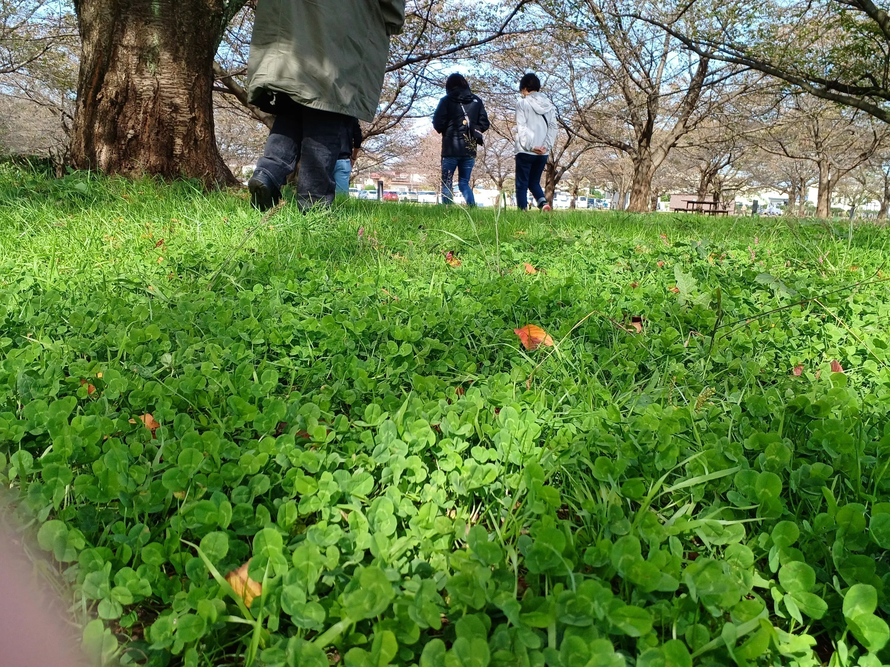 4番目のメイン画像