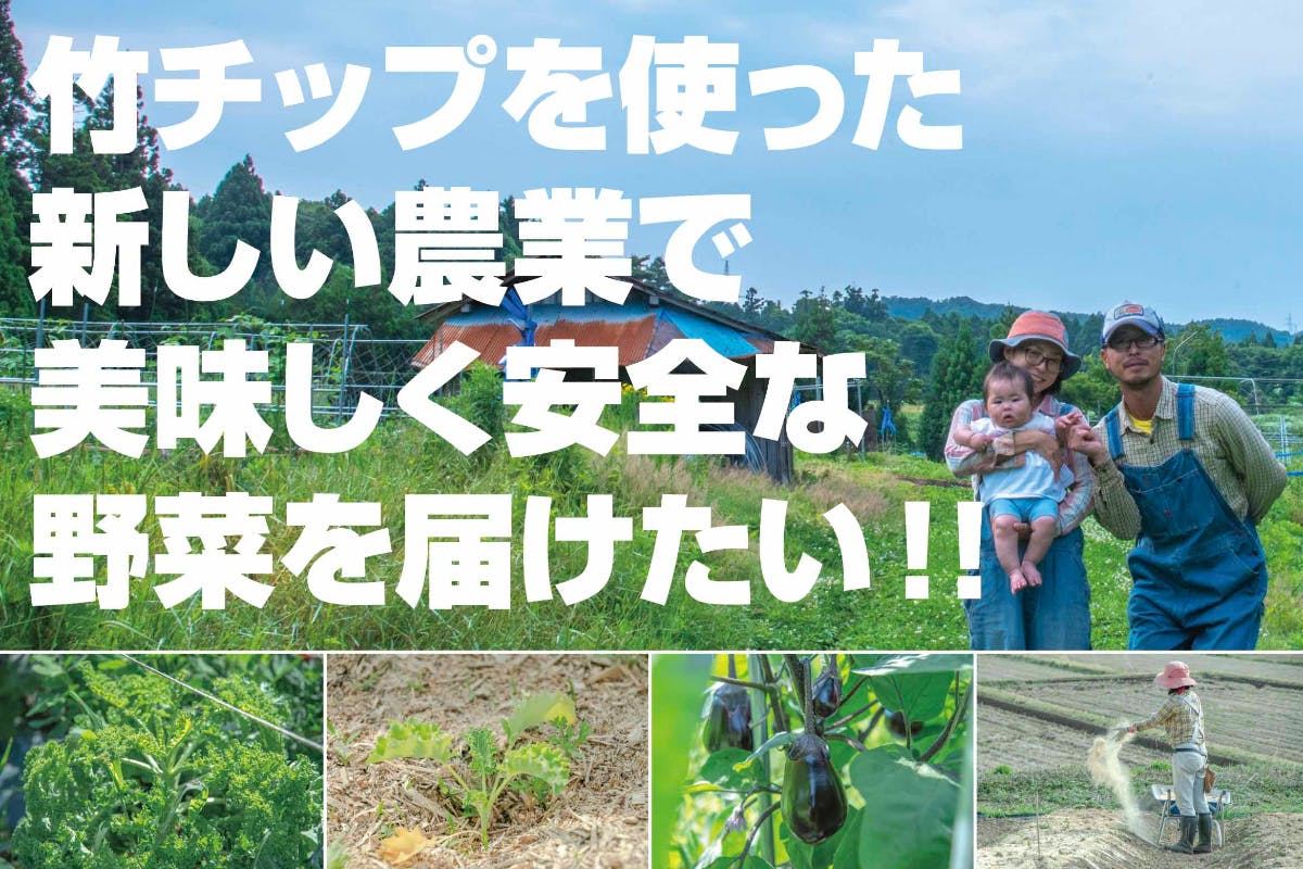 竹チップを使って育てた豊かな土壌で 自然栽培で育てた美味しく安全な野菜を届けたい Campfire キャンプファイヤー