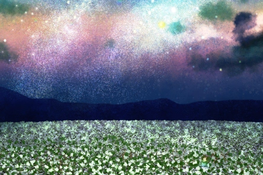 4番目のメイン画像