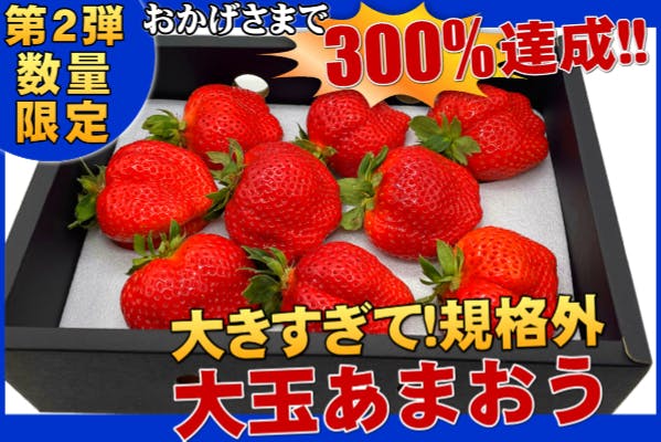 第２弾！おかげさまで目標300%達成！大きすぎて規格外大玉あまおうを