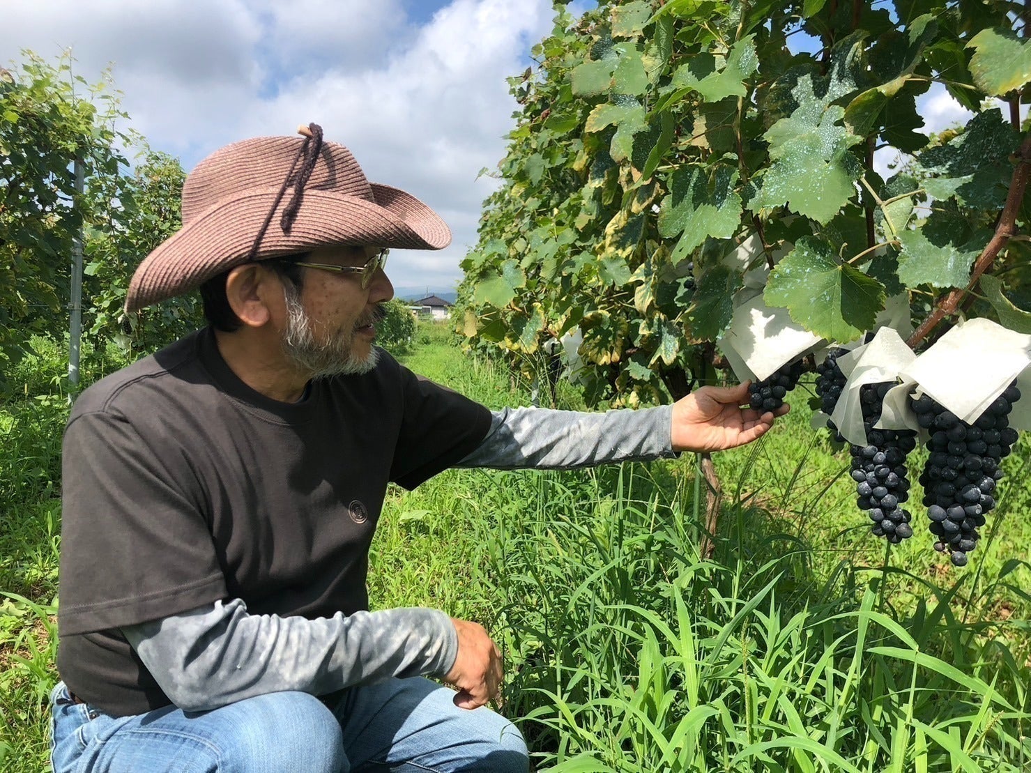 2番目のメイン画像