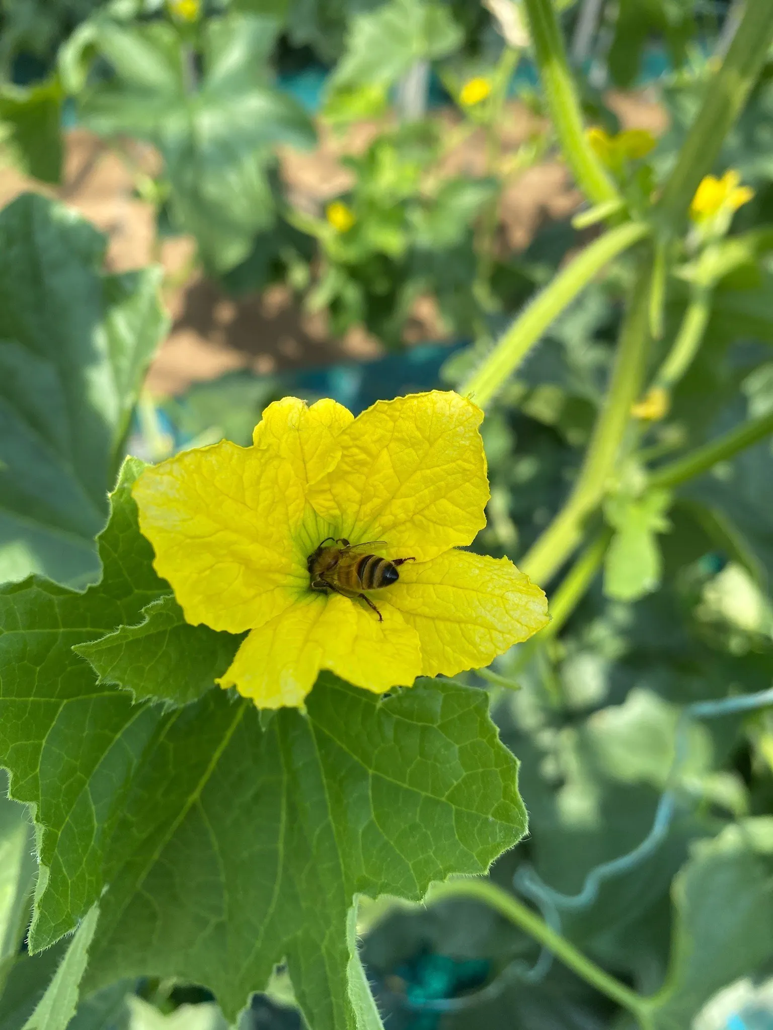 3番目のメイン画像