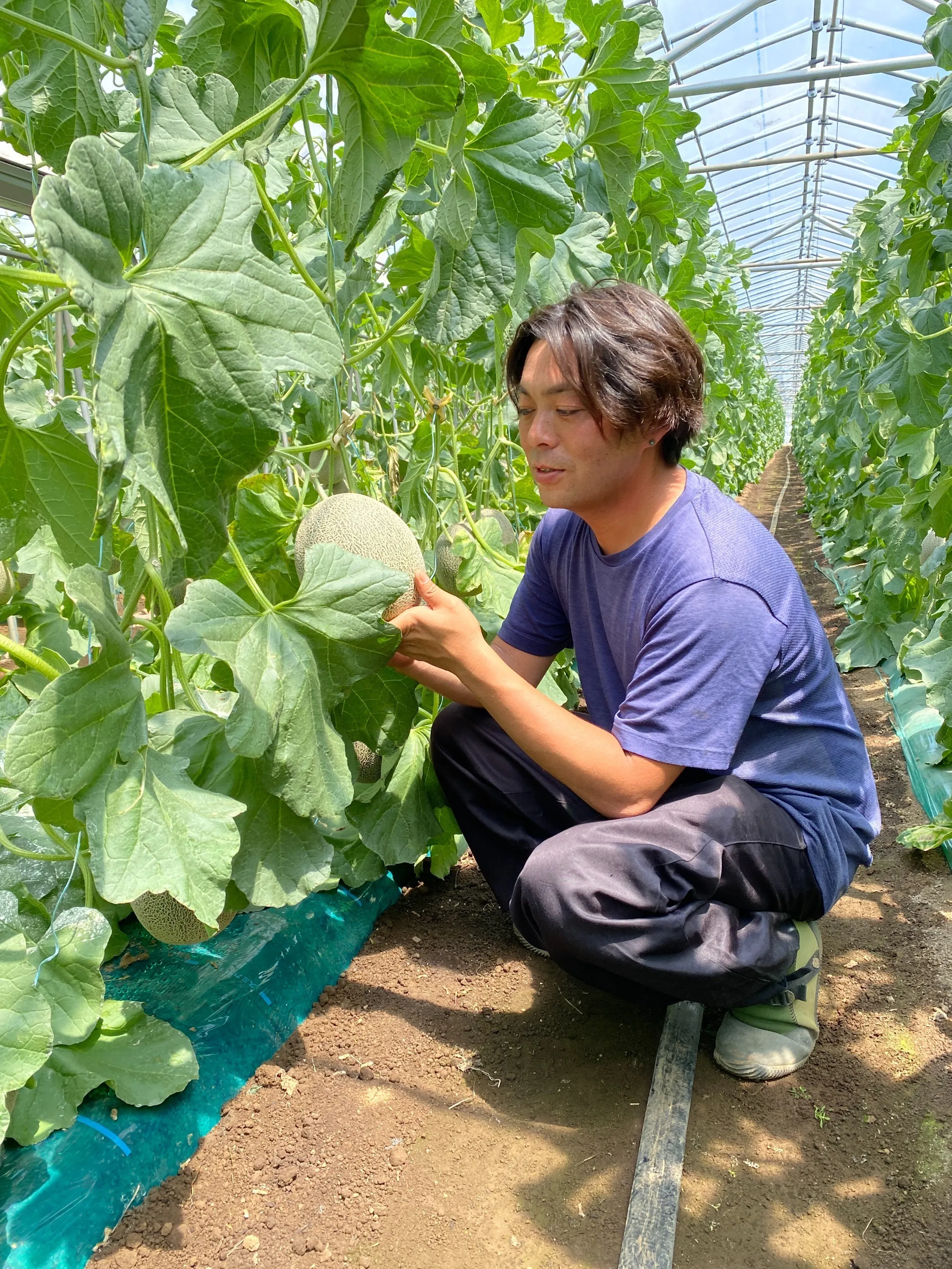 5番目のメイン画像