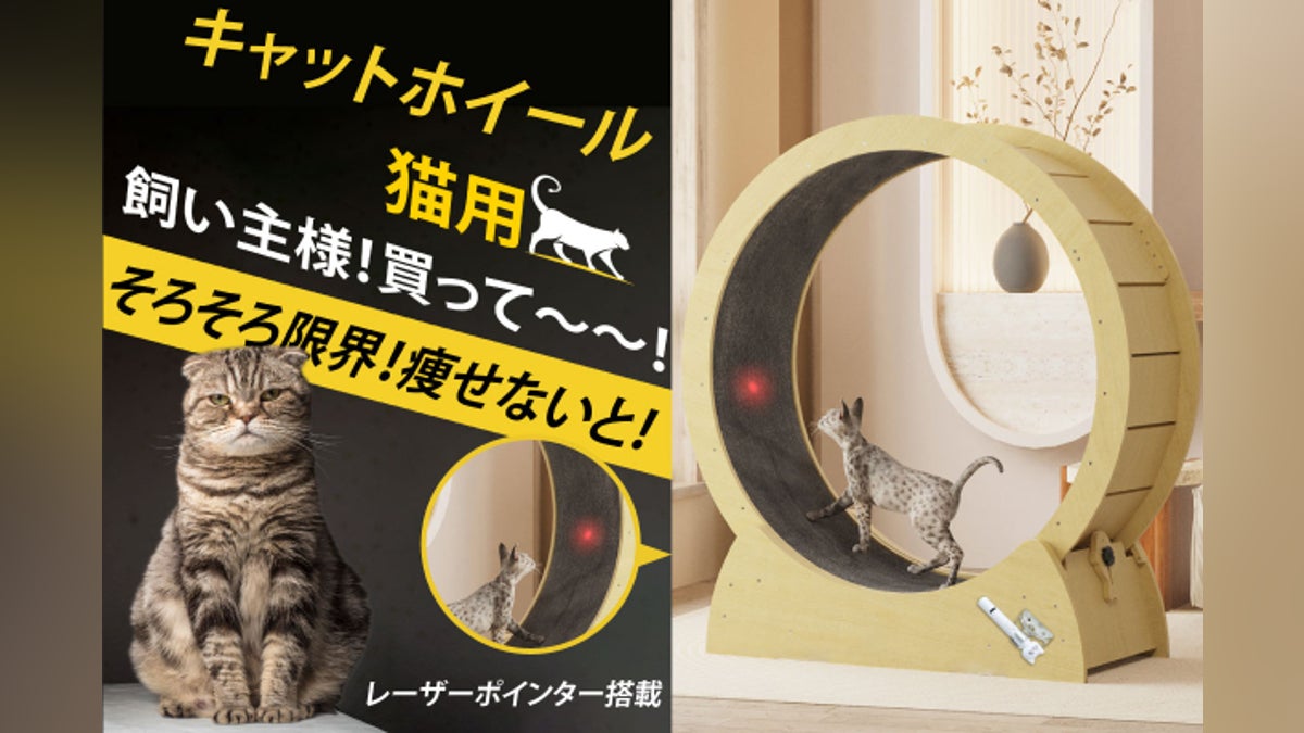猫ちゃんの運動不足解消の決定版!【レーザーポインター付き】キャット 猫ちゃんの運動不足解消の決定版!【レーザーポインター付き】キャット