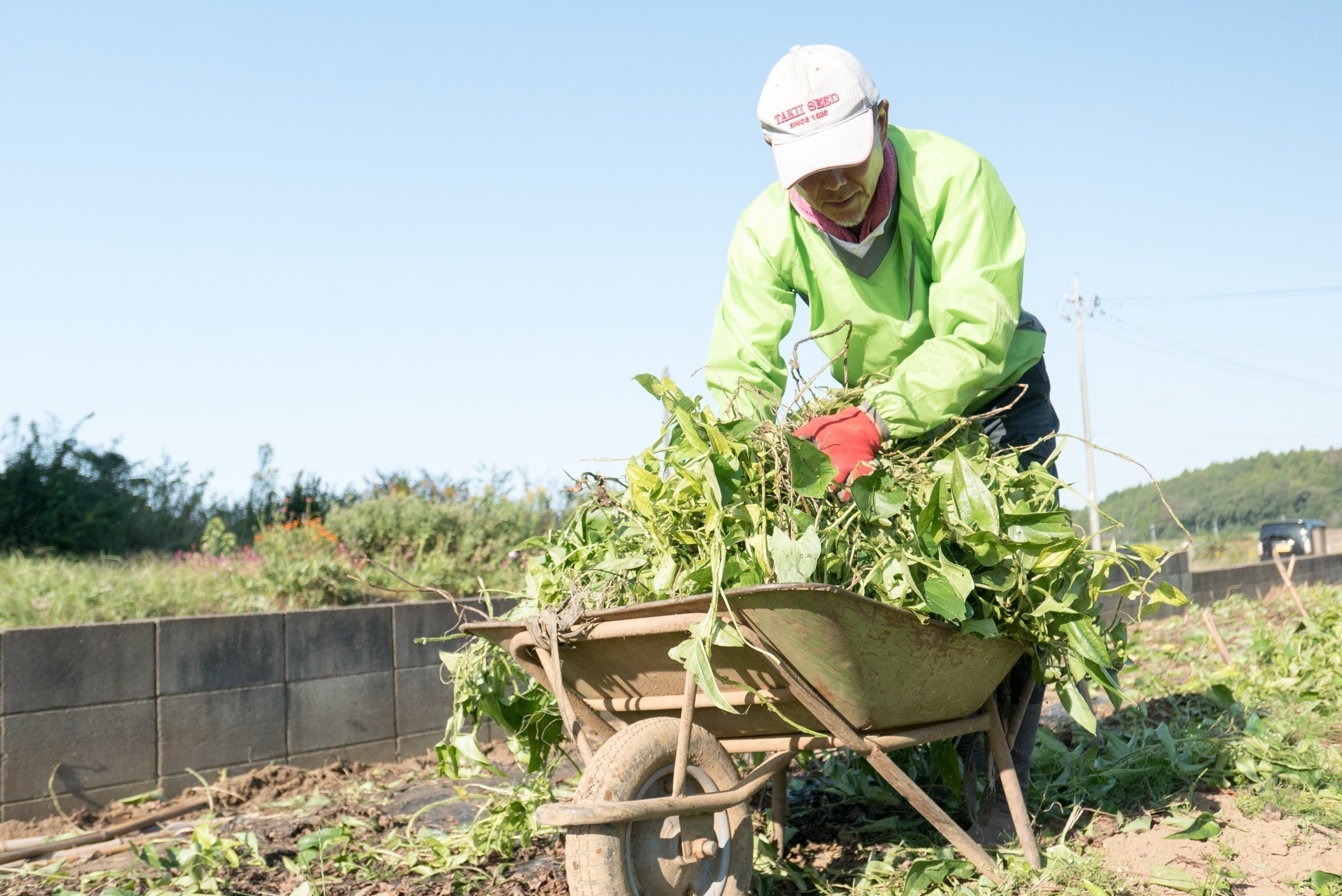 2番目のメイン画像