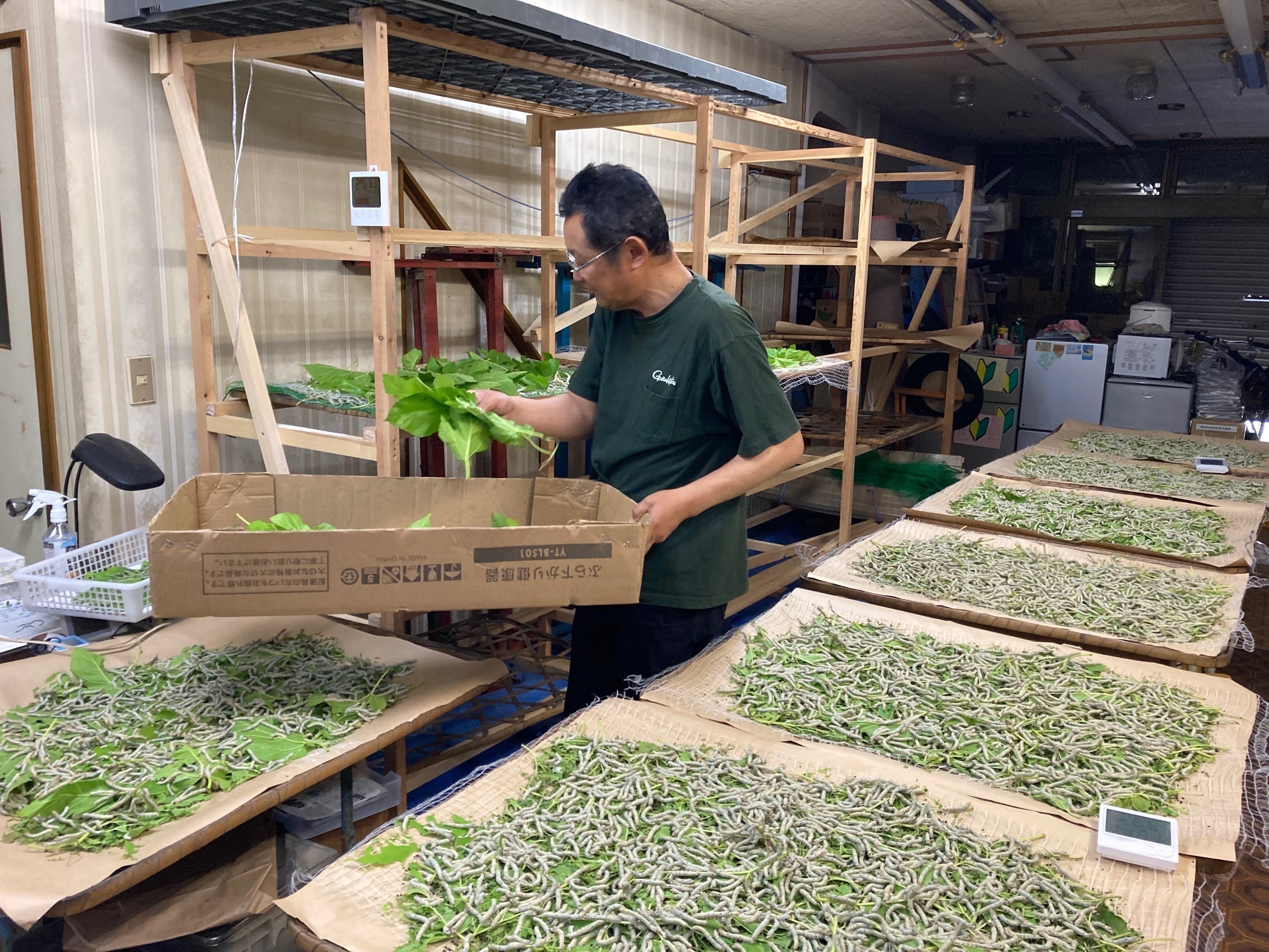 4番目のメイン画像