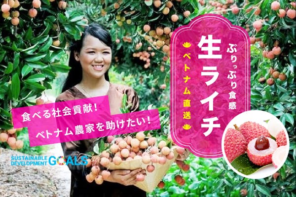 【ベトナム農家支援】生ライチーを食べて農家を助けたい！日本とベトナムの懸け橋に