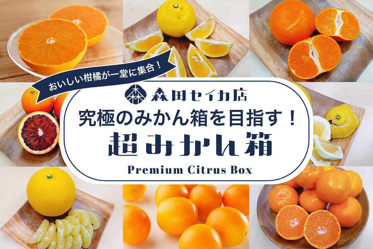 愛媛県産 せとか 小玉 12～13個 みかん 柑橘 フルーツ ④ 格安販売の