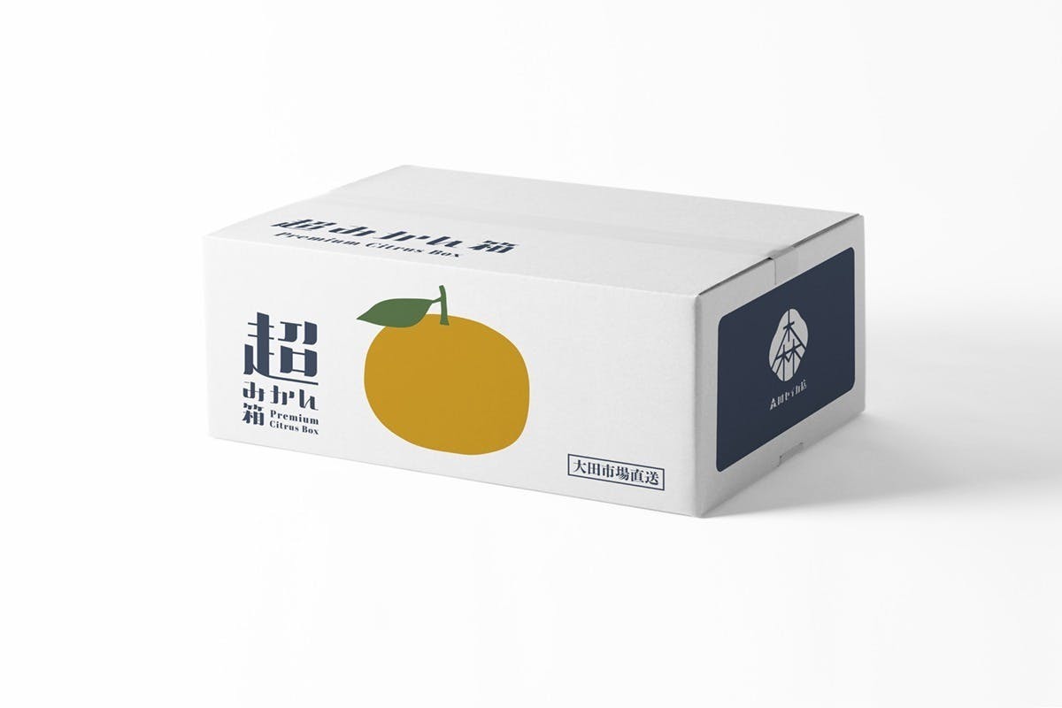超みかん箱」究極のみかん箱目指す！　(キャンプファイヤー)　フルーツ専門家による最上級の柑橘ボックス　CAMPFIRE