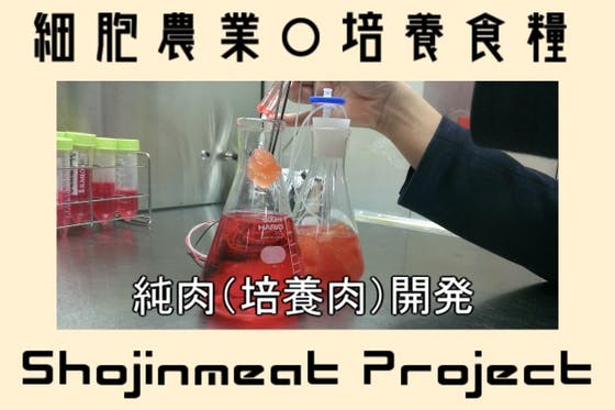 動物を殺さない肉を作る！ー"Shojinmeat”純肉(培養肉)開発プロジェクト