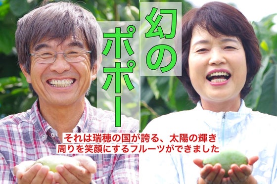 ちばちゃんのポポー5年苗 W+1プランツ 国華園オンラインショップ ちばちゃんのポポー5年苗 W+1プランツ 国華園オンラインショップ