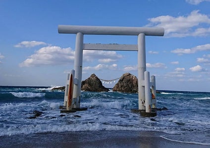 リターン画像