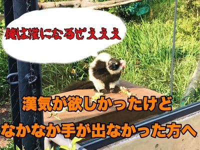 るろうにtkんcん ディズニーに365日通った漢を自由に使ってみませんか Campfire キャンプファイヤー るろうにtkんcん ディズニーに365日通った漢を自由に使ってみませんか Campfire キャンプファイヤー