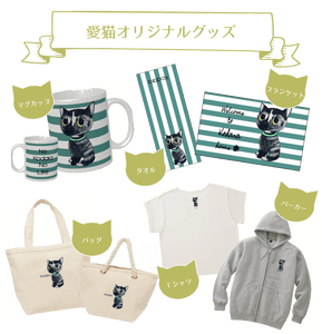 ねこちゃんの目線に立って あなたと猫ちゃんの幸せをサポートしたい Campfire キャンプファイヤー